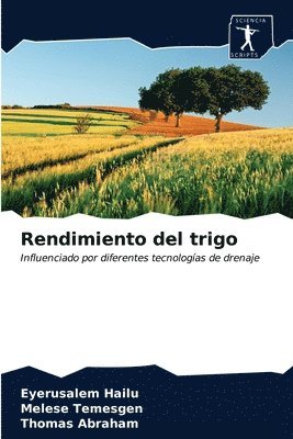 bokomslag Rendimiento del trigo