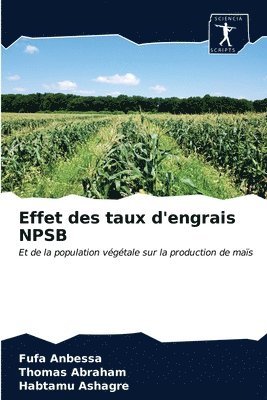 bokomslag Effet des taux d'engrais NPSB