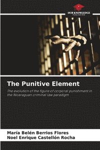 bokomslag The Punitive Element