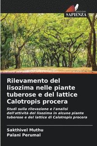 bokomslag Rilevamento del lisozima nelle piante tuberose e del lattice Calotropis procera