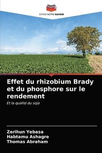 bokomslag Effet du rhizobium Brady et du phosphore sur le rendement