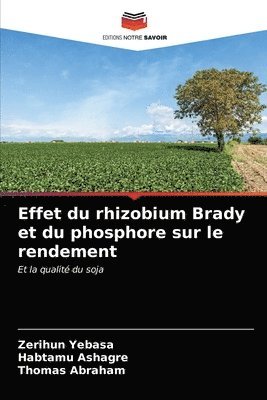 Effet du rhizobium Brady et du phosphore sur le rendement 1