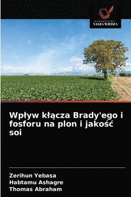 bokomslag Wplyw kl&#261;cza Brady'ego i fosforu na plon i jako&#347;c soi