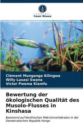 bokomslag Bewertung der kologischen Qualitt des Musolo-Flusses in Kinshasa
