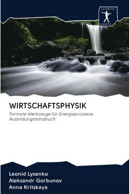 bokomslag Wirtschaftsphysik