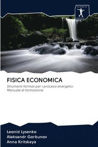 bokomslag Fisica Economica