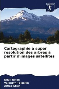 bokomslag Cartographie  super rsolution des arbres  partir d'images satellites