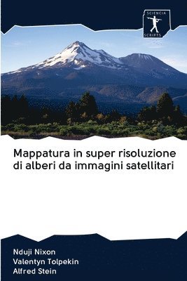 bokomslag Mappatura in super risoluzione di alberi da immagini satellitari