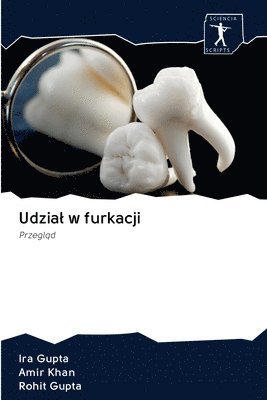 Ira Gupta, Amir Khan, Rohit Gupta - Udzia¿ w furkacji, Häftad