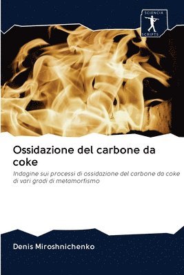 Ossidazione del carbone da coke 1