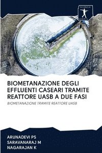 bokomslag Biometanazione Degli Effluenti Caseari Tramite Reattore Uasb a Due Fasi