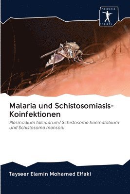 Malaria und Schistosomiasis-Koinfektionen 1