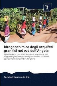 bokomslag Idrogeochimica degli acquiferi granitici nel sud dell'Angola