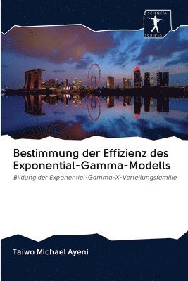 Bestimmung der Effizienz des Exponential-Gamma-Modells 1