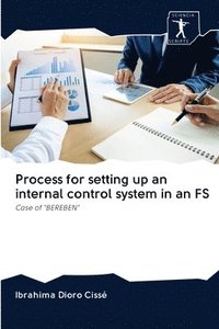 bokomslag Process for setting up an internal control system in an FS