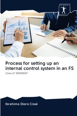 bokomslag Process for setting up an internal control system in an FS