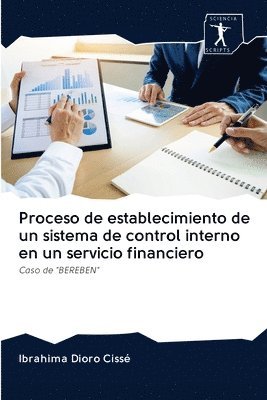 Proceso de establecimiento de un sistema de control interno en un servicio financiero 1