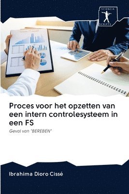 bokomslag Proces voor het opzetten van een intern controlesysteem in een FS