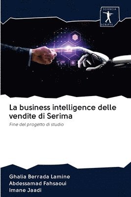 La business intelligence delle vendite di Serima 1