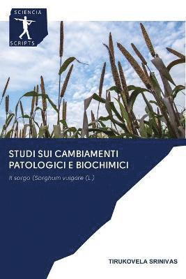 bokomslag Studi sui cambiamenti patologici e biochimici