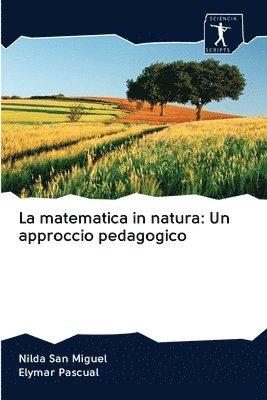 bokomslag La matematica in natura