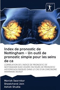 bokomslag Index de pronostic de Nottingham - Un outil de pronostic simple pour les seins de ca