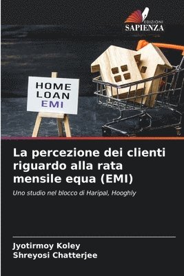 bokomslag percezione dei clienti riguardo alla rata mensile equa (EMI)