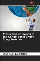 bokomslag Protection of forests in the Congo Basin under Congolese law