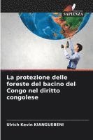 bokomslag protezione delle foreste del bacino del Congo nel diritto congolese