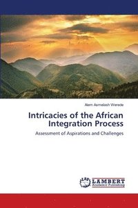 bokomslag Intricacies of the African Integration Process