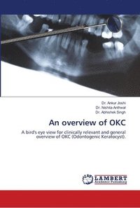 bokomslag An overview of OKC