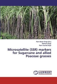 bokomslag Microsatellite (SSR) markers for Sugarcane and allied Poaceae grasses