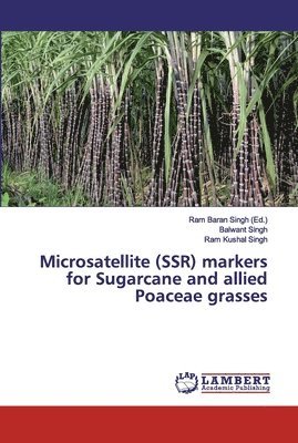 Balwant Singh, Ram Kushal Singh, Ram Baran Singh - Microsatellite (SSR) markers for Sugarcane and allied Poaceae grasses, Häftad