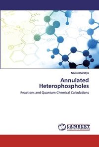 bokomslag Annulated Heterophospholes