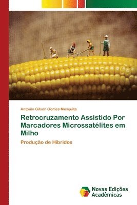 Retrocruzamento Assistido Por Marcadores Microssatlites em Milho 1