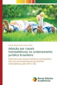 bokomslag Adocao por casais homoafetivos no ordenamento juridico brasileiro