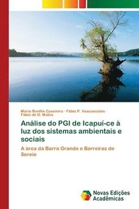 bokomslag Anlise do PGI de Icapu-ce  luz dos sistemas ambientais e sociais