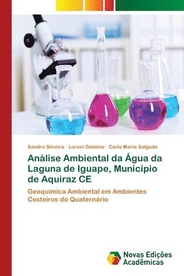 bokomslag Anlise Ambiental da gua da Laguna de Iguape, Municpio de Aquiraz CE