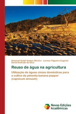 Reuso de gua na agricultura 1