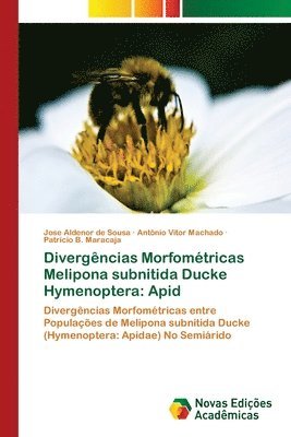Divergncias Morfomtricas Melipona subnitida Ducke Hymenoptera 1