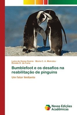 Bumblefoot e os desafios na reabilitao de pinguins 1