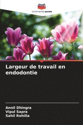 Annil Dhingra, Vipul Sapra, Sahil Rohilla - Largeur de travail en endodontie, Häftad