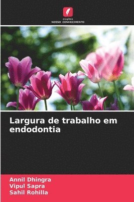 Annil Dhingra, Vipul Sapra, Sahil Rohilla - Largura de trabalho em endodontia, Häftad