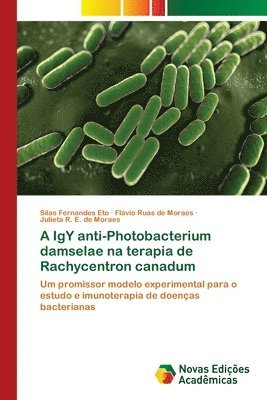 bokomslag A IgY anti-Photobacterium damselae na terapia de Rachycentron canadum