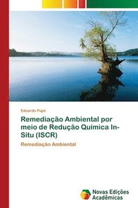 bokomslag Remediao Ambiental por meio de Reduo Qumica In-Situ (ISCR)