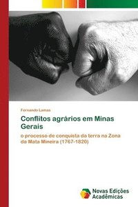 bokomslag Conflitos agrarios em Minas Gerais