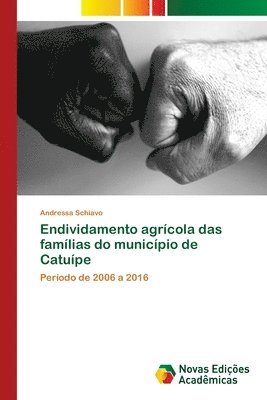 bokomslag Endividamento agrcola das famlias do municpio de Catupe