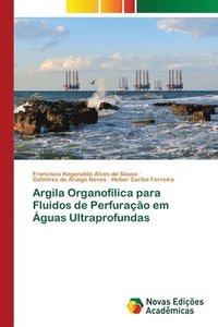 bokomslag Argila Organoflica para Fluidos de Perfurao em guas Ultraprofundas