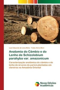 bokomslag Anatomia do Cmbio e do Lenho de Schizolobium parahyba var. amazonicum