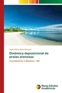 bokomslag Dinmica deposicional de praias arenosas